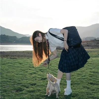 侠影仙踪